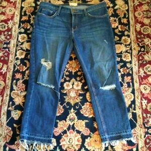 CURRENT/ELLIOTT- Nordstrom Exclusive Distressed Raw Hem Boyfriend Jeans Size 29